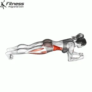 3 Exercices Abdominaux, Mieux que des Sit-Ups- Sans équipement Exercices abdominaux sans matériels