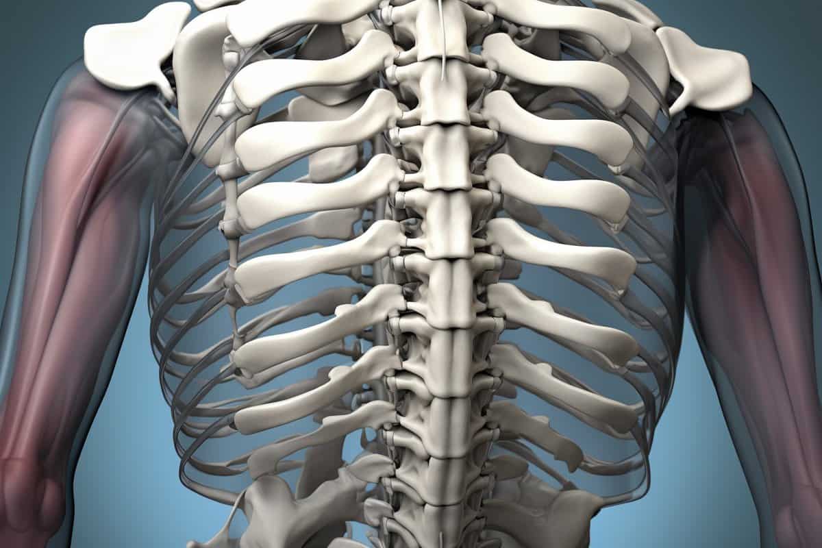 Arthrodèse lombaire mini-invasive par voie postérieure